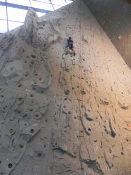 Ragazzo in arrampicata sulla parete artificiale (39141 bytes)